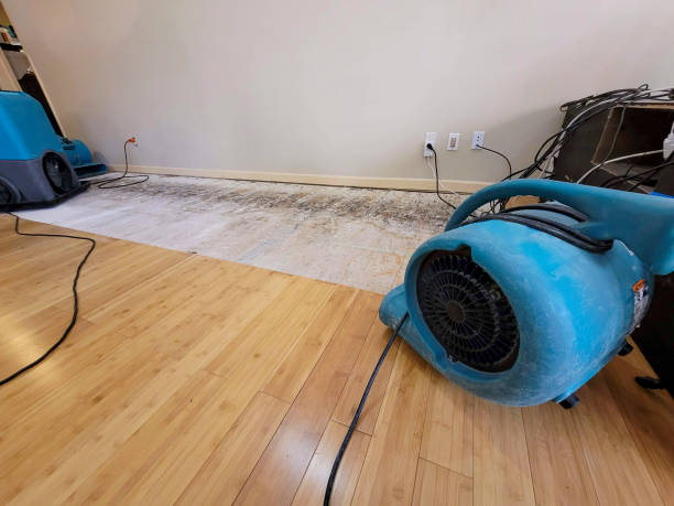 Professional Flood Damage Cleanup technician working in Flourtown, PA